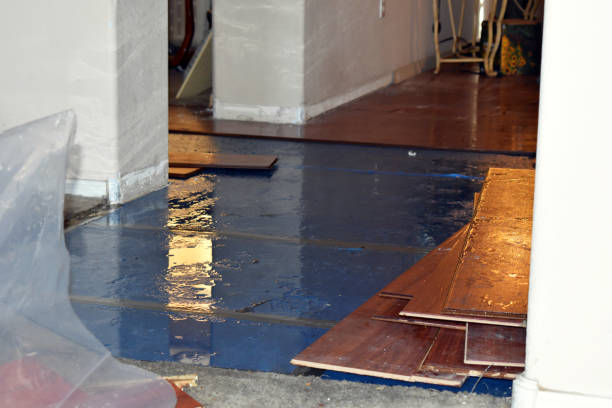 Professional Burst Pipe Cleanup technician working in La Crescent, MN