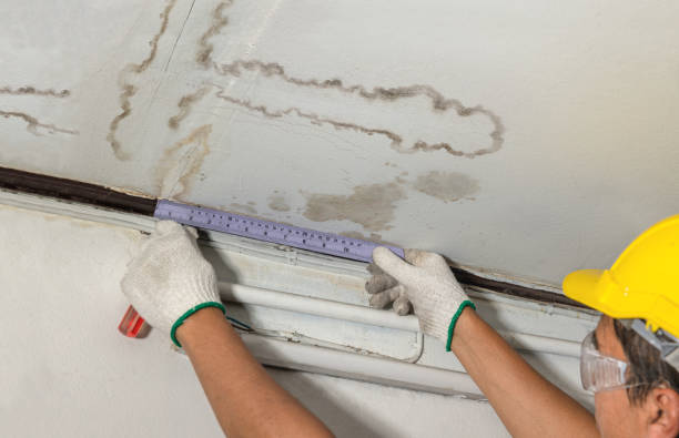 Reliable Burst Pipe Cleanup contractor in La Crescent, MN by Water Damage Irwin